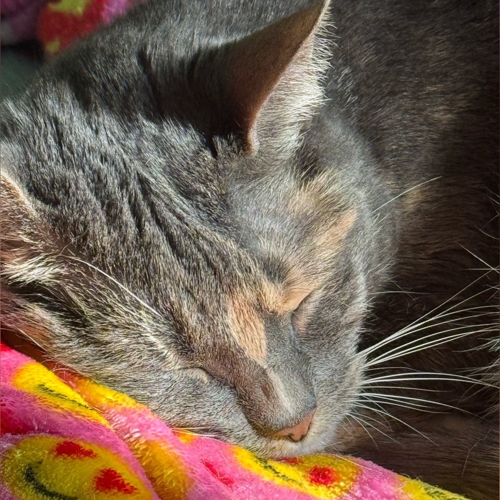 Meet your Posher, Anand